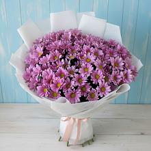 Букет цветов из:  Хризантемы в Суоярви