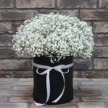Цветочная композиция из Гипсофила в шляпной коробке #REPLACE_PRED# Суоярви