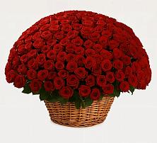 Премиум букет из: Розы в Суоярви